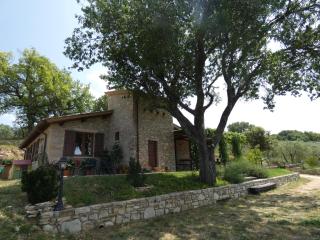 Scappo in Umbria, Le Salce - Civitella Del Lago - 2