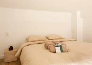 1 Bdr flat met cozy mezzanine - Antwerp - 8