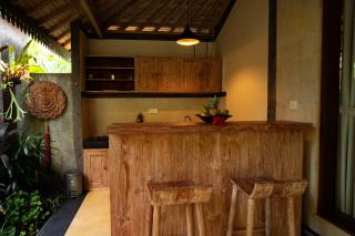 Wana Ubud Eco Villa - 3
