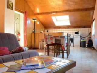 Appartement cosy 3 pièces, 4 pers, balcons, proche centre et télécabines à Châtel - FR-1-676-65 - 0