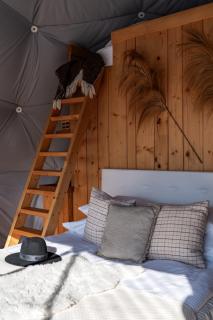 Tatra Glamp Bukowina Tatrzańska - Sieć noclegowa Tatra Glamp - Bukowina Tatrzańska - 8