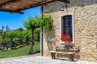 Agriturismo Torre Gialluise - 2