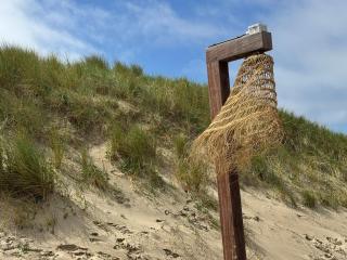 Zon Zee en Duin Egmond Strandhuisje - Egmond aan Zee - 1