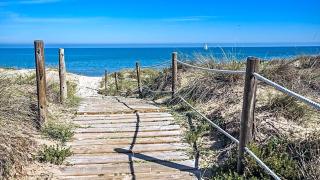 La IBICENCA & JACUZZI by XimoApartments - Oliva - 5