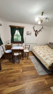 Apartment Olga - - 7