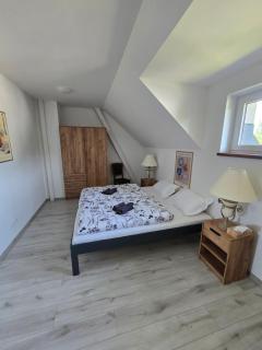 Apartmán pod Javorovým vrchem - - 9