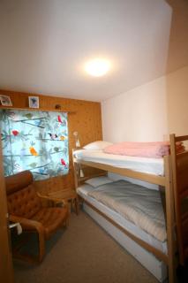 Chalet Dalecarlia - 3