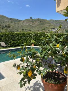 Villa Almond - Taormina - 8