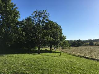 La ferme d'Alotz - Arcangues - 2
