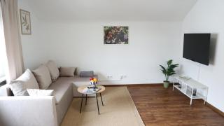 Stillvolles Apartment VS - Villingen-Schwenningen - 3