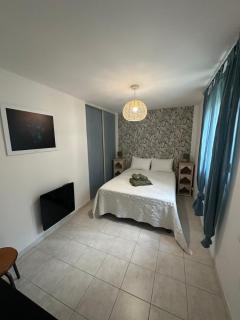 Grand appartement spacieux 3 ch Rez de villa a sisco - Sisco - 8