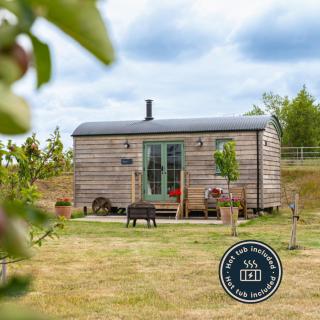 Coldharbour Luxury Shepherds Hut with Hot Tub - Stone - 0