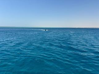 Turtles Beach Resort - Sea View - Hurghada - 4