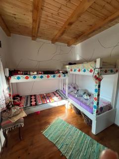 Cabana de la Prut , Iasi - - 6
