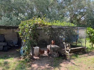 LE CHÊNE ET L'EAU - Roquebrune-sur Argens - 1