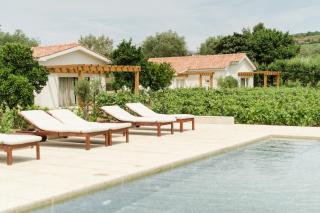 IMAGO Houses - Douro Valley - By MET - Lamego - 8