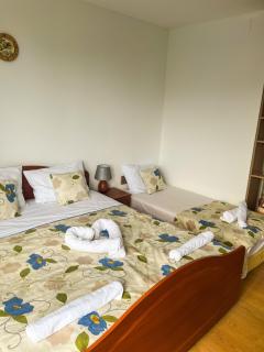 Private apartments Aparthotel Excelsior - 8