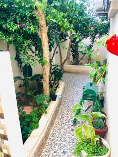 Résidence Farhani - 9