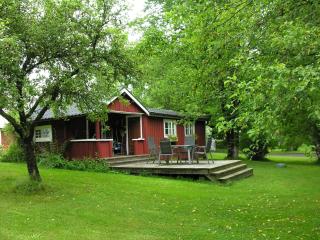 Husarstuga, house at riverside near many lakes - Ädelfors - 6