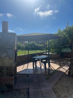 Il piccolo giardino - Civitavecchia - 6