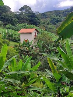 Sitio alvorada - 2