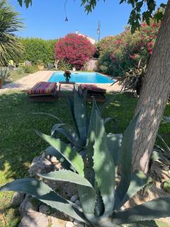 Maison de vacances - Le Thor - 1
