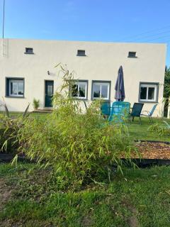 Gîte Ecrin de verdure - Angrie - 3