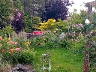 BARHOLM CROFT Holiday Cottage - Creetown - 8