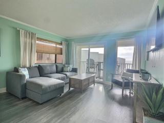 Beautiful Two Bedroom, Two Bath Condo at Sailport - Tampa - 9