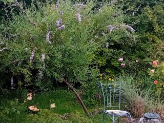 BARHOLM CROFT Holiday Cottage - Creetown - 9