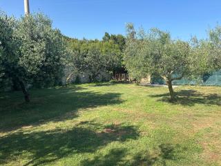 Large camper in the olive grove - 4