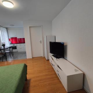 Apartment Buchental , Ruhig und zentral in St Gallen - St. Gallen - 0