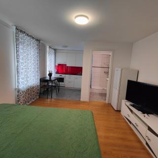 Apartment Buchental , Ruhig und zentral in St Gallen - St. Gallen - 8