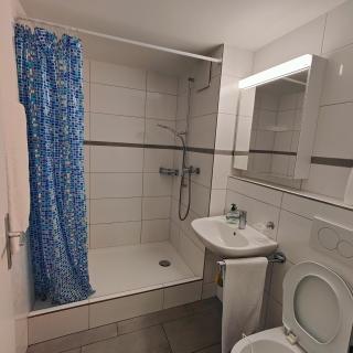 Apartment Buchental , Ruhig und zentral in St Gallen - St. Gallen - 5
