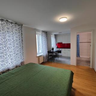 Apartment Buchental , Ruhig und zentral in St Gallen - St. Gallen - 4