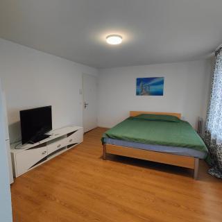 Apartment Buchental , Ruhig und zentral in St Gallen - St. Gallen - 3