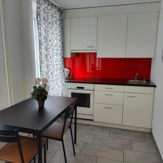 Apartment Buchental , Ruhig und zentral in St Gallen - St. Gallen - 2