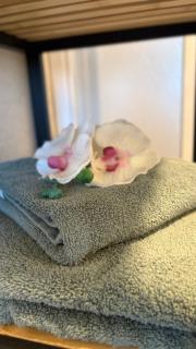 Sweet Sleep Apartment "FeWo Fledermaus" - - 0