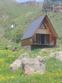 Gold Star - Kazbegi - 4