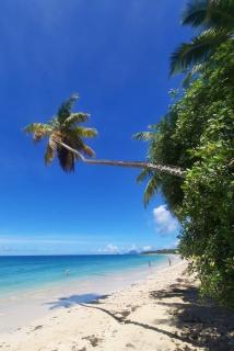 T2 st anne martinique - Sainte-Anne - 1
