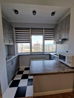 Апартаменты рядом с ТРЦ Мега Молл - Almaty - 1