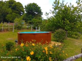 Cottage by the Chateau with pool in National Parc - Les Salles-Lavauguyon - 9
