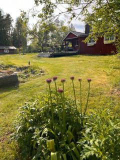 Husarstuga, house at riverside near many lakes - Ädelfors - 5