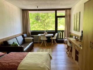Ferienwohnung Jogginghose - Bad Goisern - 0