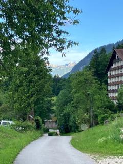 Ferienwohnung Jogginghose - Bad Goisern - 7