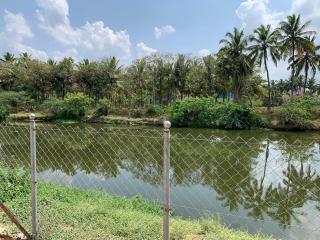 Riverfront Villa, Kanyakumari - 1 BH - Kanyakumari - 8