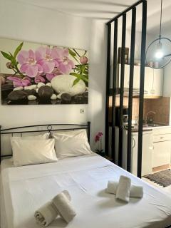 Studio by the sea with roof garden 3 - Thérissos - 7