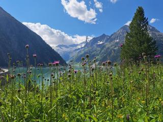Alpenchalet Lengau - Dornauberg - 8