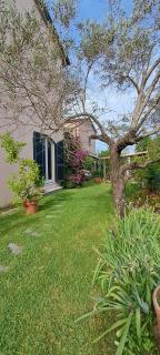 La Camelia - Ameglia - 0
