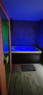 Jungle Room - Sauna, Jacuzzi, Cinéma - Hyper Centre - Troyes - 1